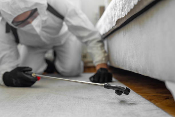 Professional Termite Control technician working in Fall Creek, WI