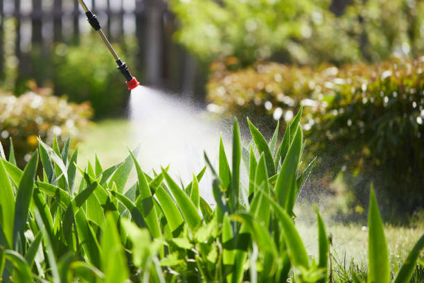 24/7 Emergency Termite Control experts in Fall Creek, WI