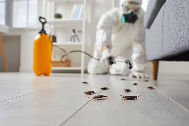 Trusted Cockroach Control service in Fall Creek, WI - Nex Pest Control
